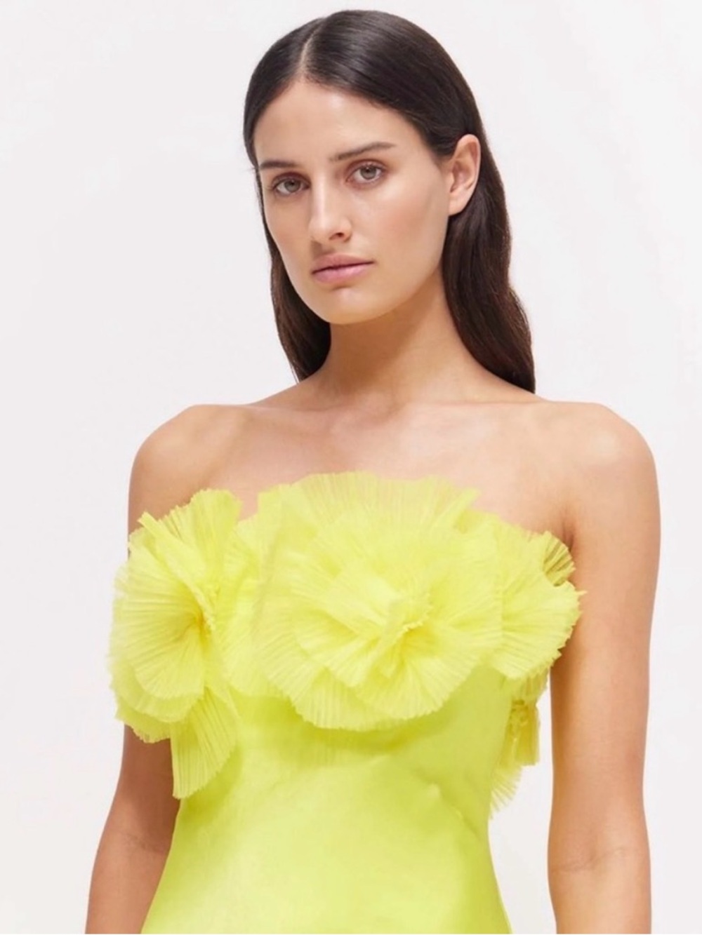 Rachel Gilbert NWT Strapless Gown - Picture 3 of 10